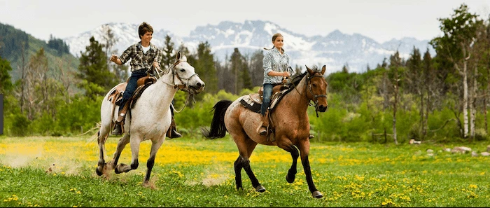Confident plus-size woman riding Stoke on Trent a horse through a field with a smile on her face.